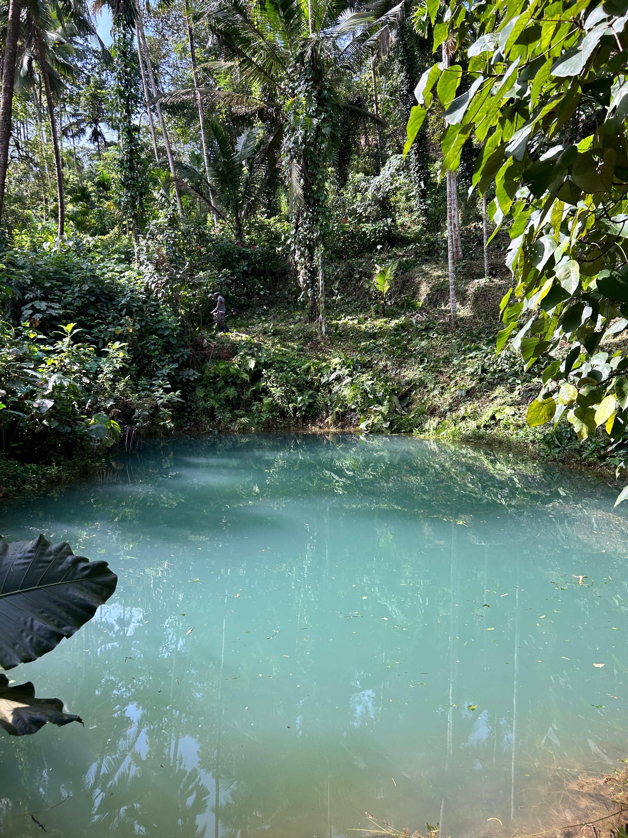 Changemakers Ashram Calicut: Restoring Land, Reviving Hope